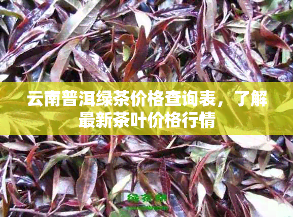 云南普洱绿茶价格查询表，了解最新茶叶价格行情