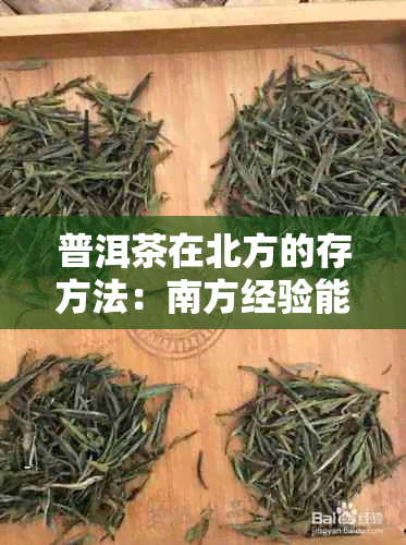 普洱茶在北方的存方法：南方经验能否适应北方环境？