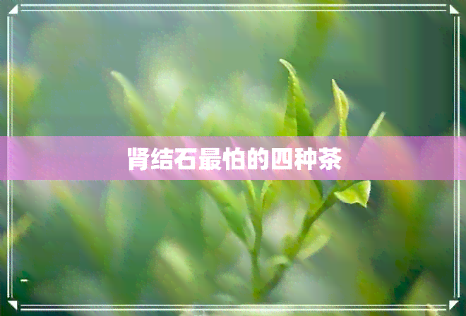 肾结石最怕的四种茶