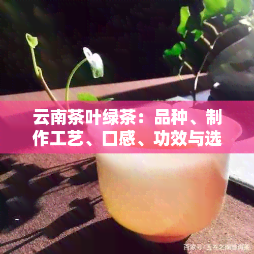 云南茶叶绿茶：品种、制作工艺、口感、功效与选购指南，一文全面了解！