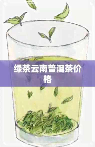 绿茶云南普洱茶价格