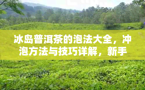 冰岛普洱茶的泡法大全，冲泡方法与技巧详解，新手也能泡出好味道！