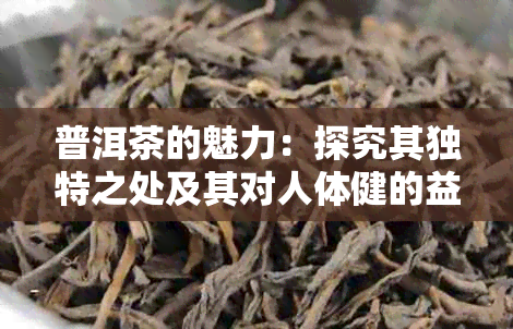 普洱茶的魅力：探究其独特之处及其对人体健的益处