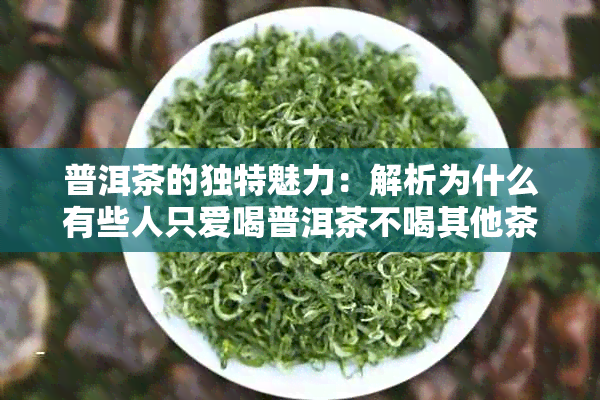 普洱茶的独特魅力：解析为什么有些人只爱喝普洱茶不喝其他茶