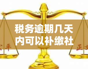 税务逾期几天内可以补缴社保：全面解答