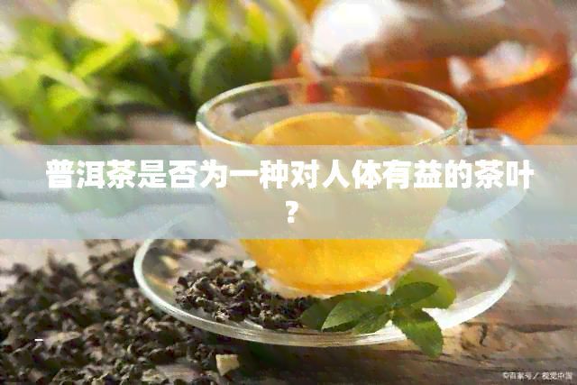 普洱茶是否为一种对人体有益的茶叶？