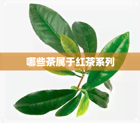 哪些茶属于红茶系列