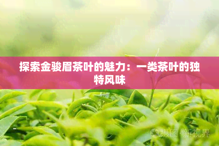 探索金骏眉茶叶的魅力：一类茶叶的独特风味