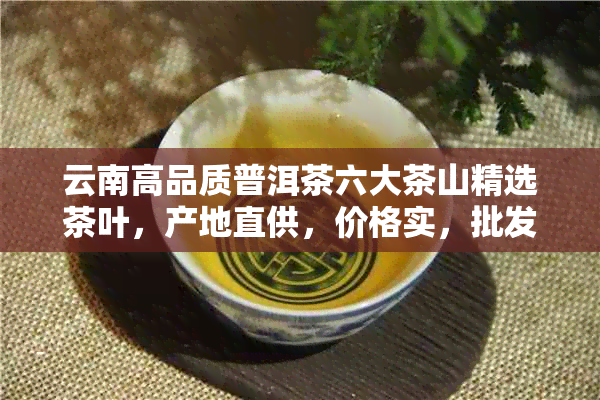 云南高品质普洱茶六大茶山精选茶叶，产地直供，价格实，批发促销中