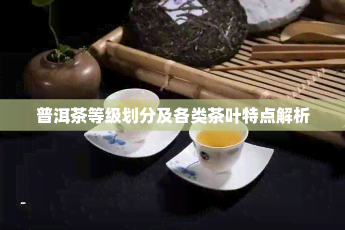 普洱茶等级划分及各类茶叶特点解析