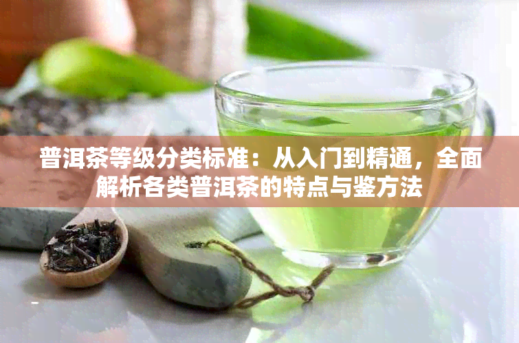 普洱茶等级分类标准：从入门到精通，全面解析各类普洱茶的特点与鉴方法