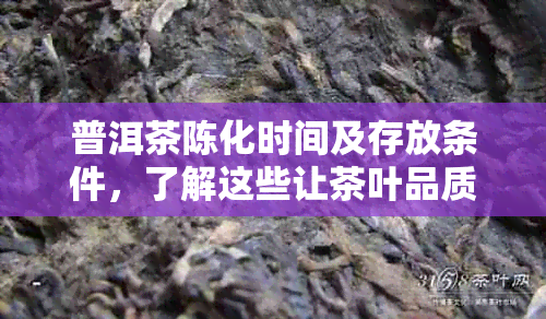 普洱茶陈化时间及存放条件，了解这些让茶叶品质更上一层楼