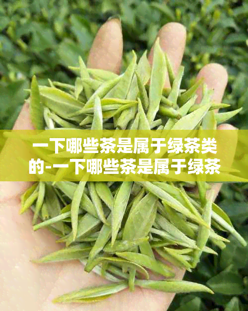 一下哪些茶是属于绿茶类的-一下哪些茶是属于绿茶类的茶叶