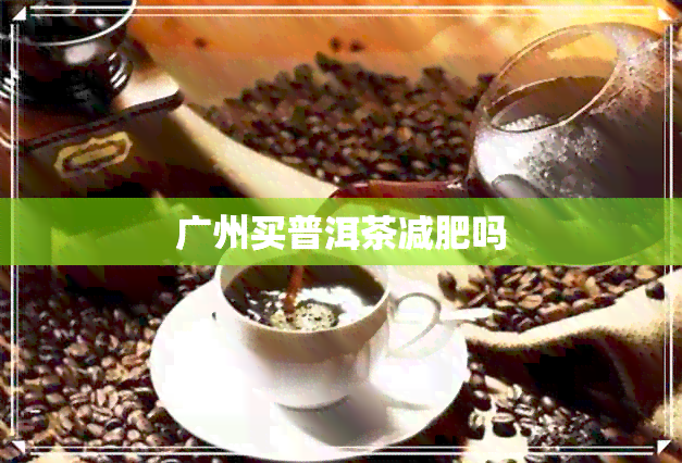 广州买普洱茶减肥吗