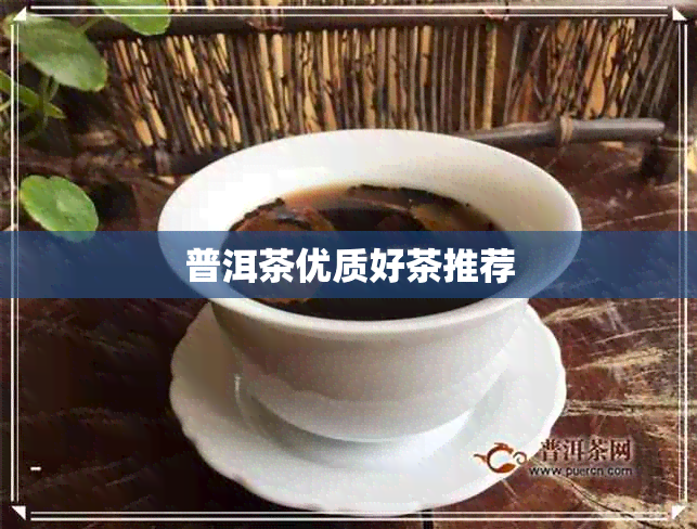 普洱茶优质好茶推荐