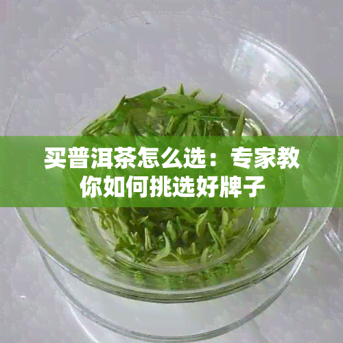 买普洱茶怎么选：专家教你如何挑选好牌子