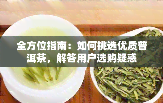 全方位指南：如何挑选优质普洱茶，解答用户选购疑惑