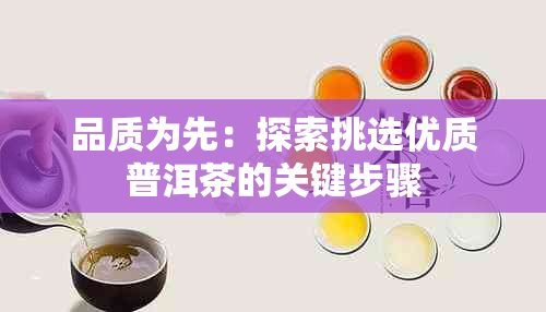 品质为先：探索挑选优质普洱茶的关键步骤