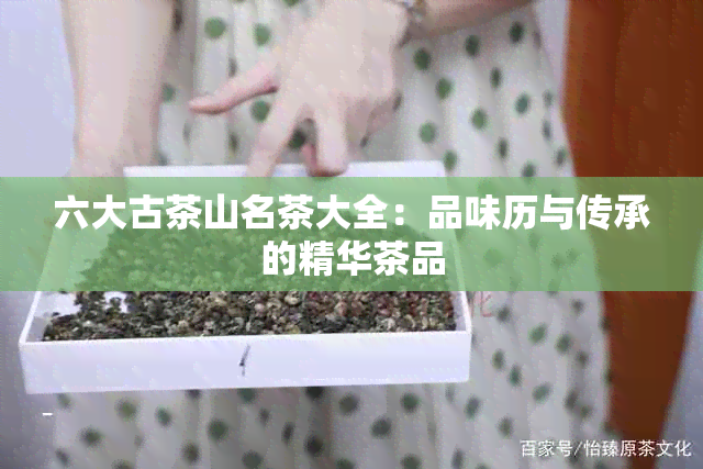 六大古茶山名茶大全：品味历与传承的精华茶品