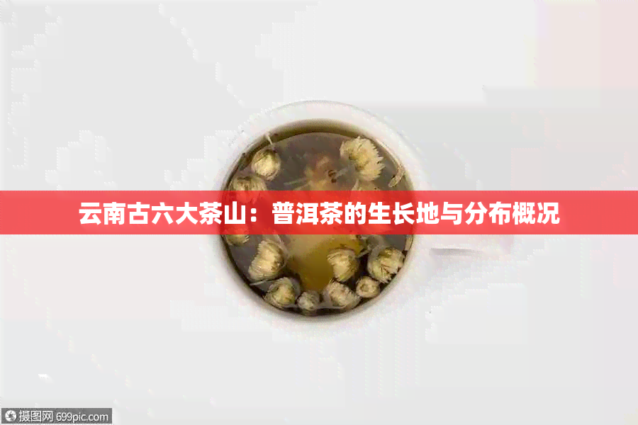 云南古六大茶山：普洱茶的生长地与分布概况