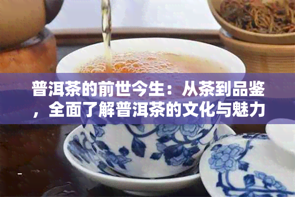 普洱茶的前世今生：从茶到品鉴，全面了解普洱茶的文化与魅力