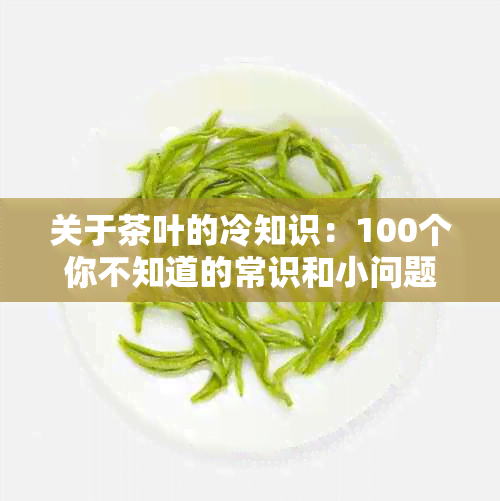 关于茶叶的冷知识：100个你不知道的常识和小问题