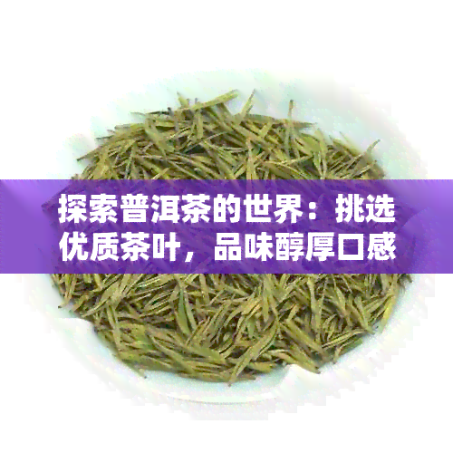 探索普洱茶的世界：挑选优质茶叶，品味醇厚口感与收藏价值