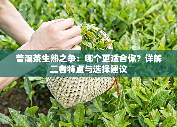 普洱茶生熟之争：哪个更适合你？详解二者特点与选择建议