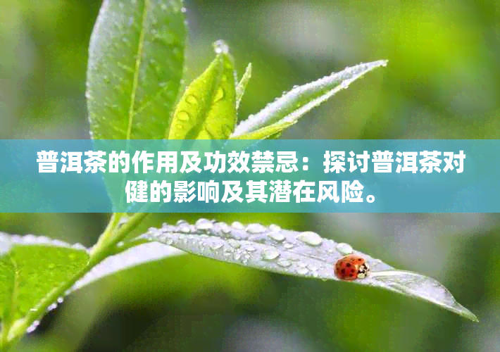 普洱茶的作用及功效禁忌：探讨普洱茶对健的影响及其潜在风险。