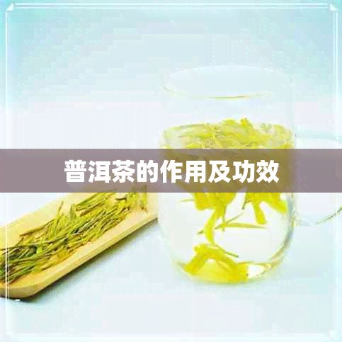 普洱茶的作用及功效