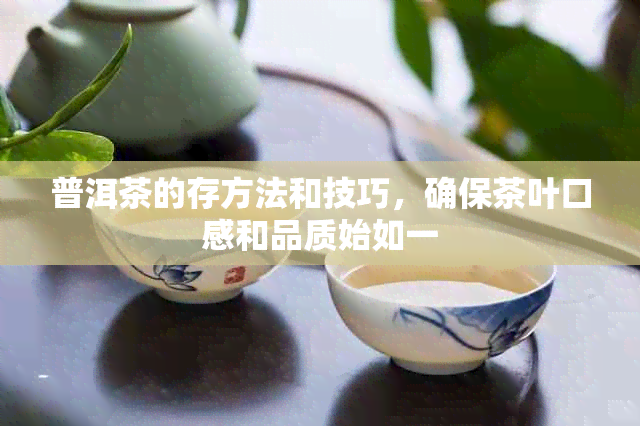 普洱茶的存方法和技巧，确保茶叶口感和品质始如一