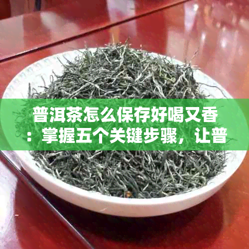 普洱茶怎么保存好喝又香：掌握五个关键步骤，让普洱茶保持品质