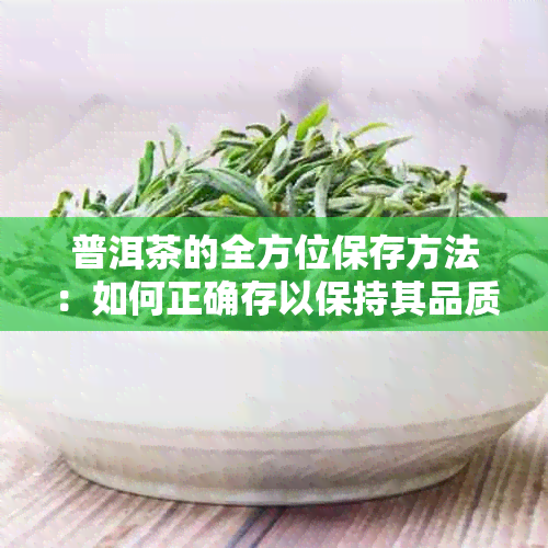 普洱茶的全方位保存方法：如何正确存以保持其品质和口感