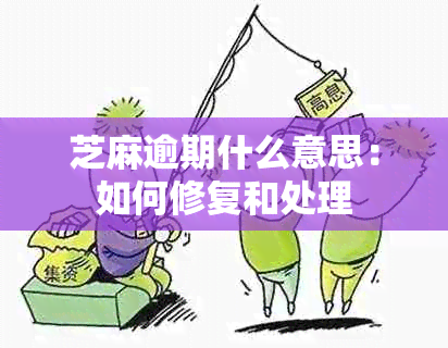 芝麻逾期什么意思：如何修复和处理