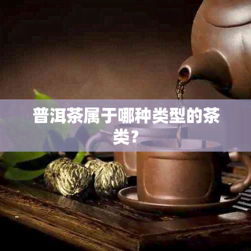 普洱茶属于哪种类型的茶类？