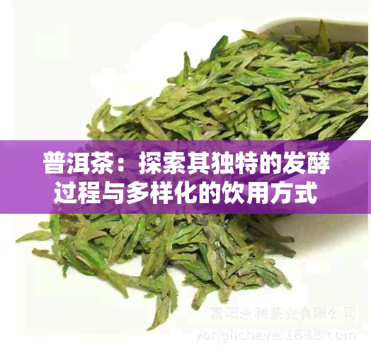 普洱茶：探索其独特的发酵过程与多样化的饮用方式