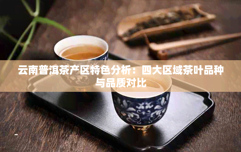 云南普洱茶产区特色分析：四大区域茶叶品种与品质对比