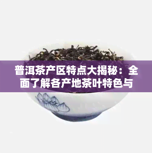 普洱茶产区特点大揭秘：全面了解各产地茶叶特色与风味