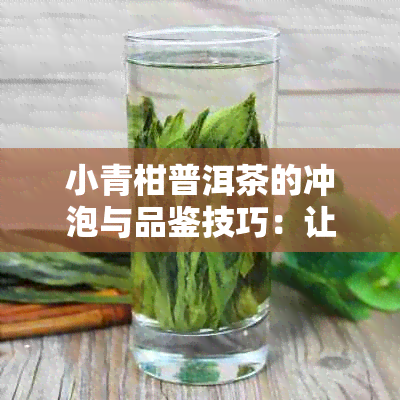 小青柑普洱茶的冲泡与品鉴技巧：让你喝出最正确的好味道