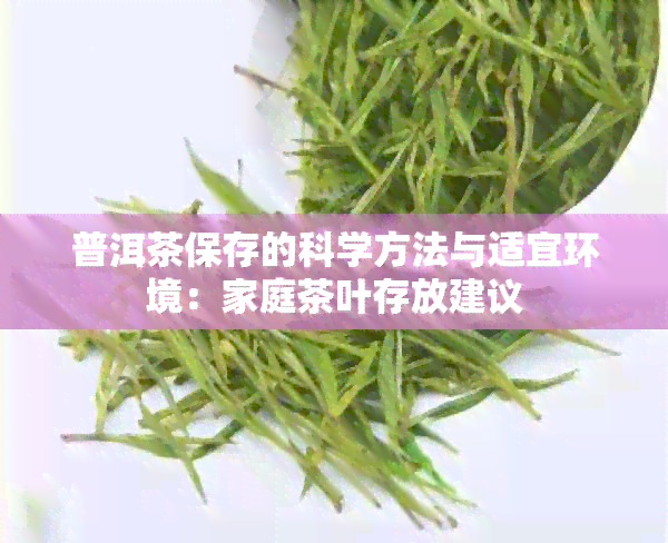 普洱茶保存的科学方法与适宜环境：家庭茶叶存放建议