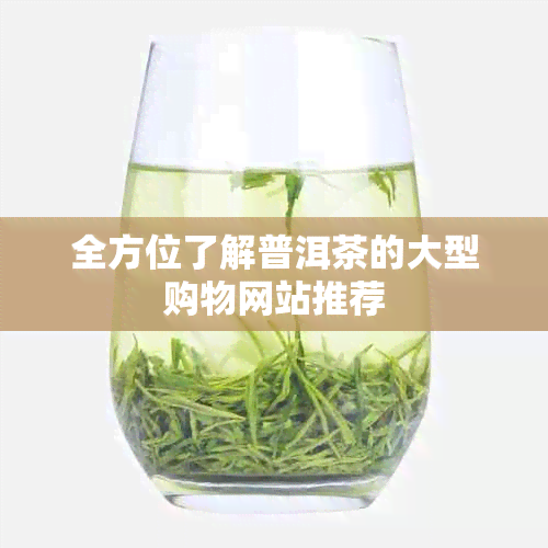 全方位了解普洱茶的大型购物网站推荐