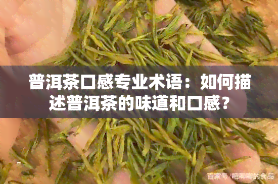 普洱茶口感专业术语：如何描述普洱茶的味道和口感？