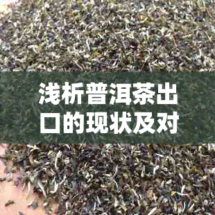 浅析普洱茶出口的现状及对策研究：分析贸易现况与解决策略