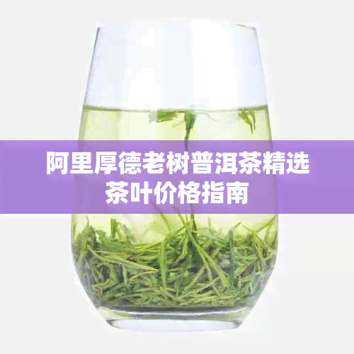 阿里厚德老树普洱茶精选茶叶价格指南