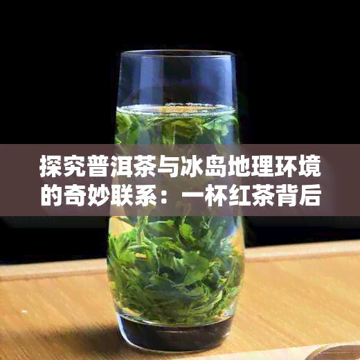 探究普洱茶与冰岛地理环境的奇妙联系：一杯红茶背后的冰岛故事