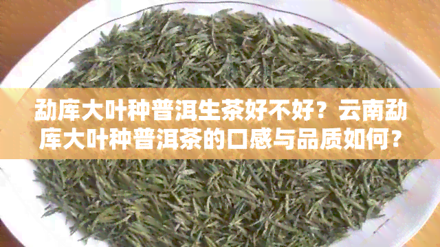 勐库大叶种普洱生茶好不好？云南勐库大叶种普洱茶的口感与品质如何？