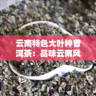 云南特色大叶种普洱茶：品味云南风土与文化精髓的茶艺之旅