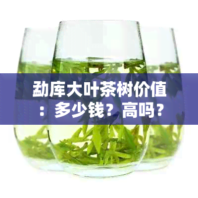 勐库大叶茶树价值：多少钱？高吗？