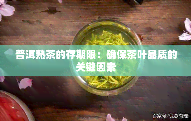 普洱熟茶的存期限：确保茶叶品质的关键因素