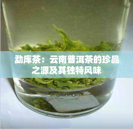 勐库茶：云南普洱茶的珍品之源及其独特风味